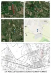 Ground For Sale - 307285 Mosnita Noua RO Thumbnail 2